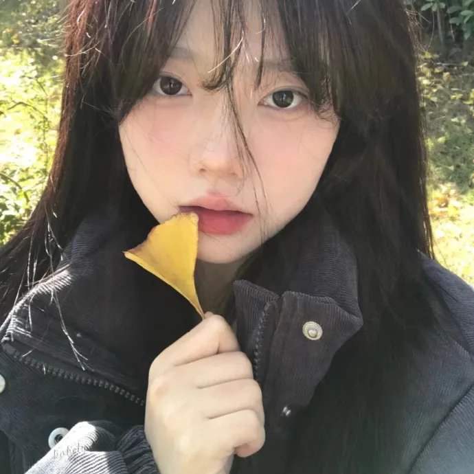 爱的飞行模式第二季